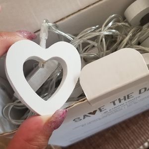 Save the date 30ct string lights